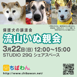 3月22日ちばわん『流山いぬ親会』開催のご案内 サムネイル2