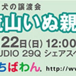 3月22日ちばわん『流山いぬ親会』開催のご案内 サムネイル3