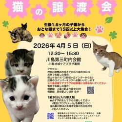 猫の譲渡会　by にゃんころ隊 4/5