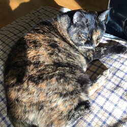 また、悩まされてます