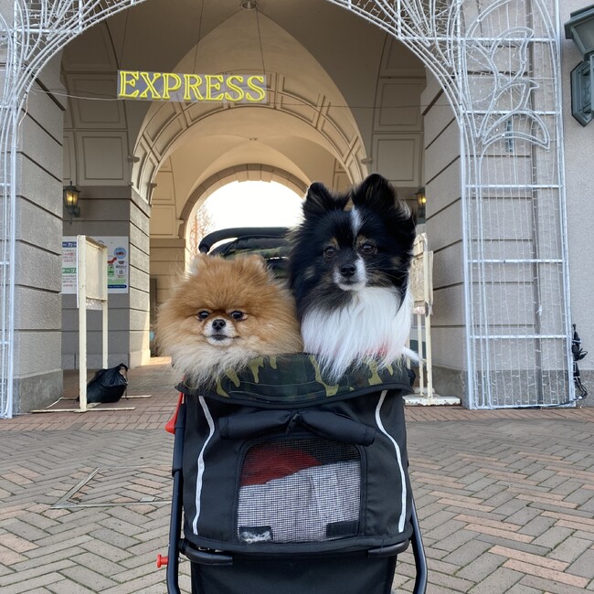 eritoshiのカバー写真