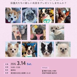 forわんDog譲渡会at徳浄寺