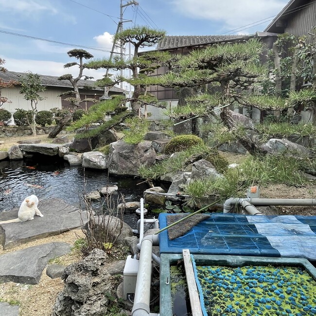 ももみかんあんこのカバー写真