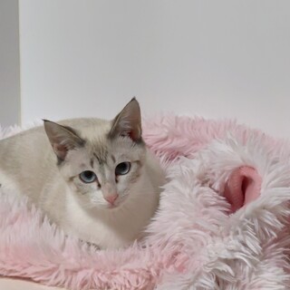 一旦停止【アイコちゃん】アイライン強め女子