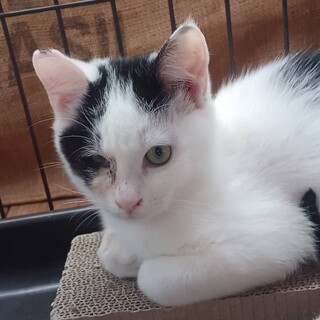 白黒　男の子　海くん