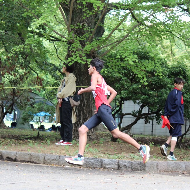 アヌサのカバー写真