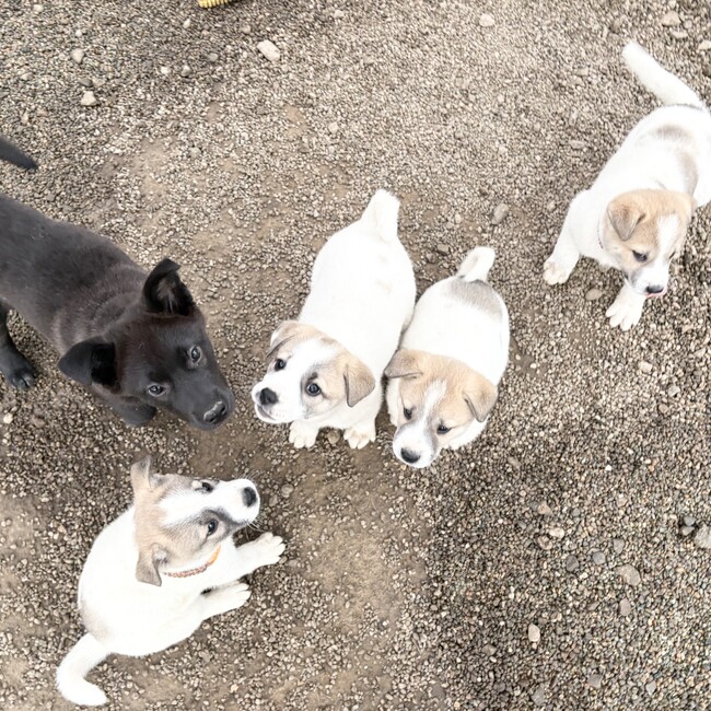 いのちの木陰会のカバー写真