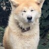 がくぞう