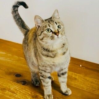 【4/19恵比寿】だっこも大丈夫♪器用な面白い子