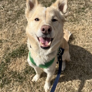 つぶらな瞳が超キュート！あどけなさが残るナヤ♡