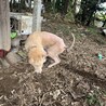 つぶらな瞳が超キュート！あどけなさが残るナヤ♡ サムネイル7