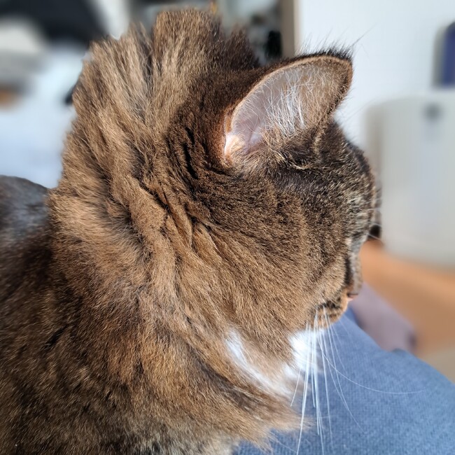 はま あかさたのカバー写真