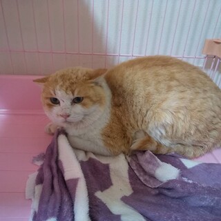 緊急！危険な場所にリリースする男の子