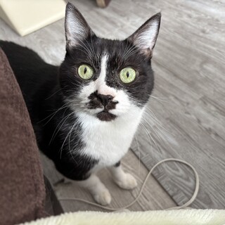 12才元気いっぱいなわがままな男の子