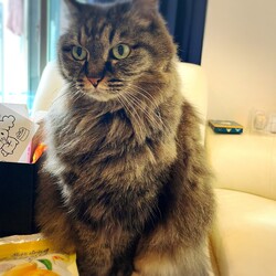 あっという間に