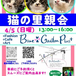 猫の里親会in世田谷区 下高井戸駅