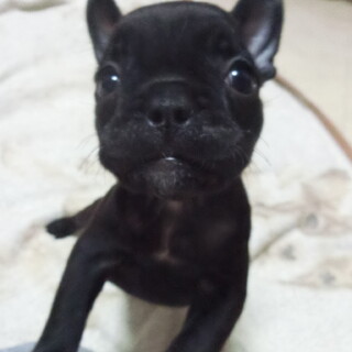 先天性心疾患あります