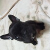 先天性心疾患あります サムネイル2