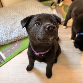 私が1番な「まいちゃん」