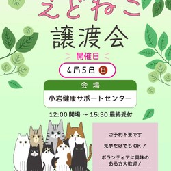 えどねこ譲渡会 江戸川区保健所（小岩健康サポートセンター）