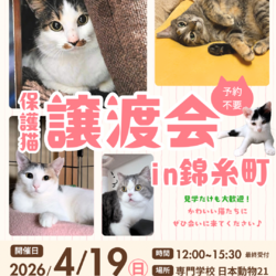 ひらこましっぽの譲渡会（錦糸町 日本動物21）