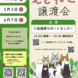 えどねこ譲渡会 江戸川区保健所（小岩健康サポートセンター）