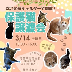 なごの家保護猫譲渡会inなごの家