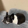 のじたんさん