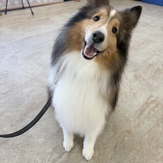 応募が多数あった為、募集を一時的に終了します