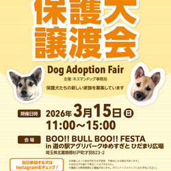 BOO!!BULL BOO!! FESTA 保護犬譲渡会