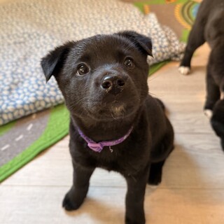 私が1番な「まいちゃん」