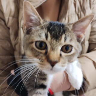 ポッポッ・甘えん坊な男の子