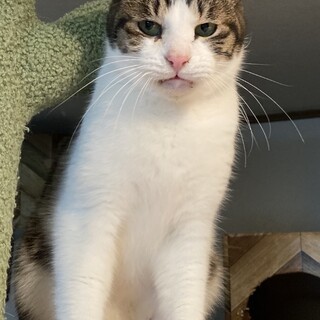 いいお顔！まさき君♪