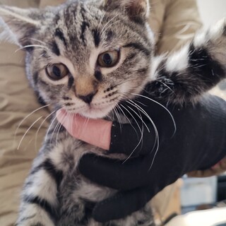 チッチ・抱っこ、遊び大好き