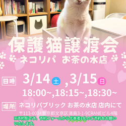 ～  お茶の水店 譲渡会  〜