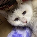 前髪が素敵！こつめちゃん♪