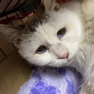 前髪が素敵！こつめちゃん♪