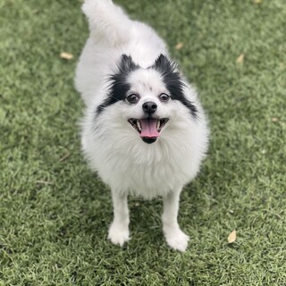 人懐こい女の子