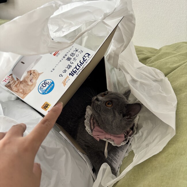 スヌーピー37のカバー写真