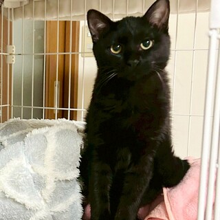 まだ人は怖いけど 遊ぶの大好き！きらくん