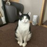 ビビりだけど甘えん坊なオスメス兄妹❤️ サムネイル3
