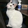 ビビりだけど甘えん坊なオスメス兄妹❤️ サムネイル6