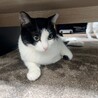 ビビりだけど甘えん坊なオスメス兄妹❤️ サムネイル7