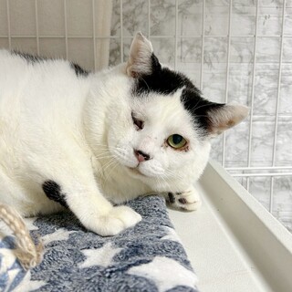 おとなしくてとっても甘えん坊❤️