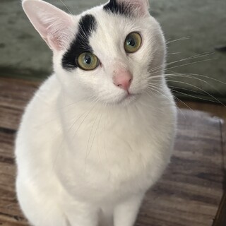 ビビりだけど好奇心旺盛な甘えん坊❤️