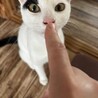 ビビりだけど好奇心旺盛な甘えん坊❤️ サムネイル2