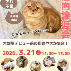 店内ふれあい譲渡