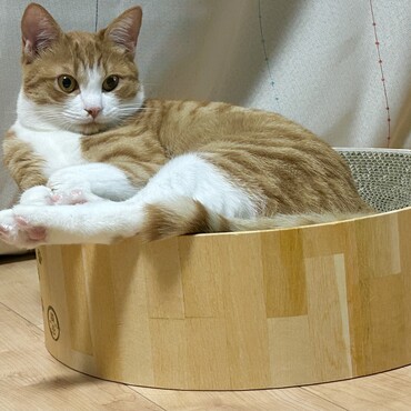 眠い時