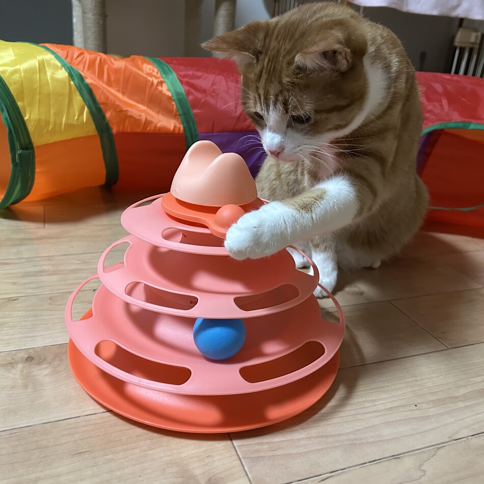 ポテ太のカバー写真