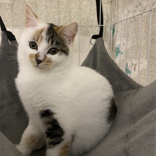 大人しく可愛いメルです‪‪❤︎‬